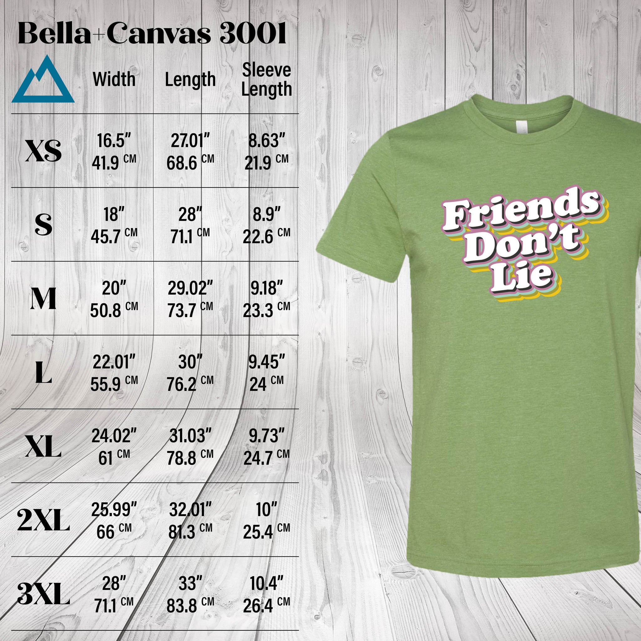 FriendsDontLie_BellaCanvas3001