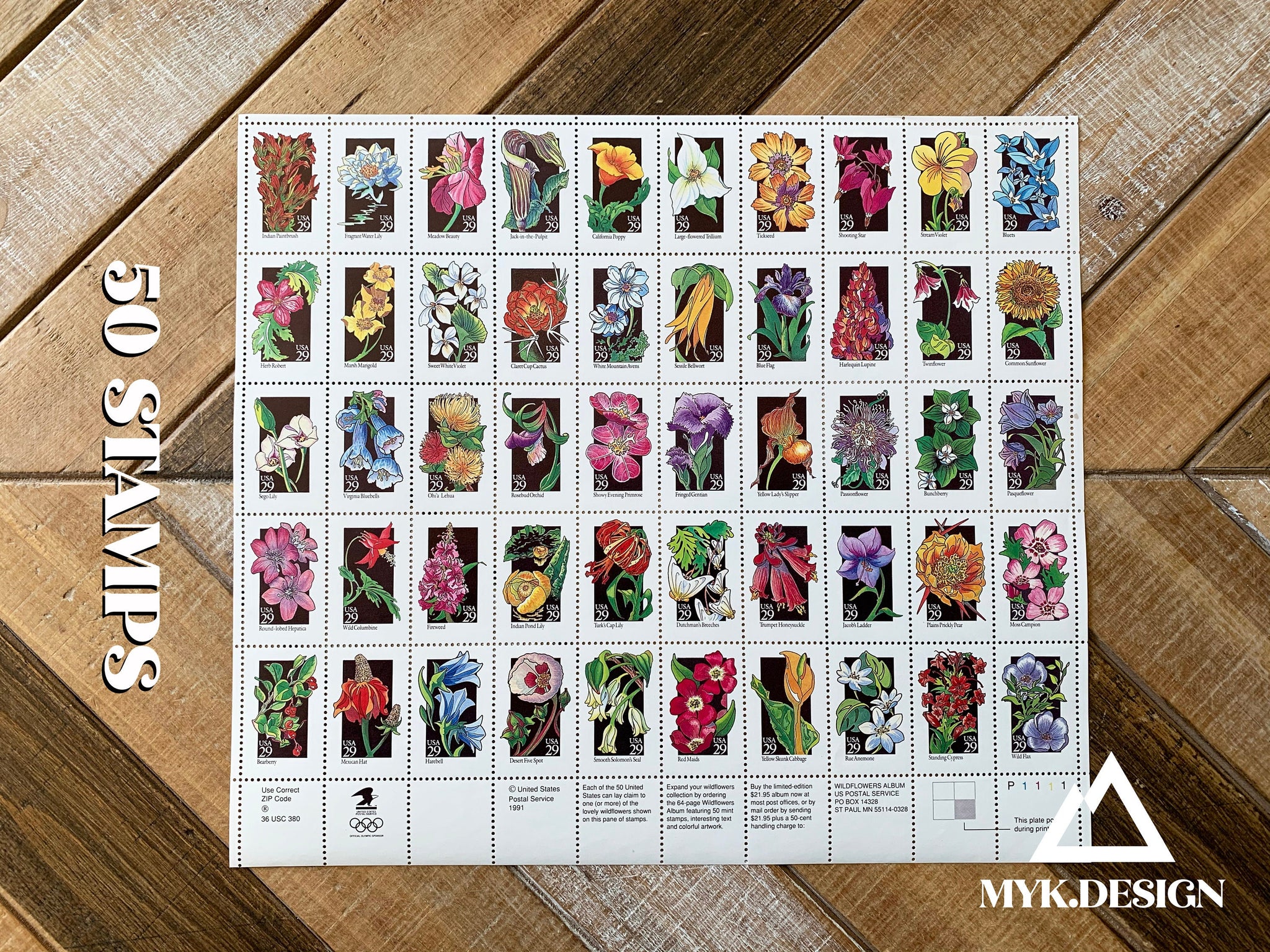 61 Common WILDFLOWERS Found In The United States! (2025